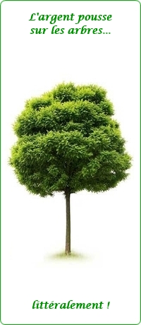 Croissance annuelles automatique :)