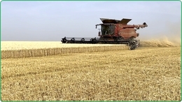 Ferme de 1850 Ha &agrave; vendre en Roumanie