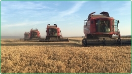 Ferme irrigu&eacute;e de 1400 Ha &agrave; vendre en Roumanie